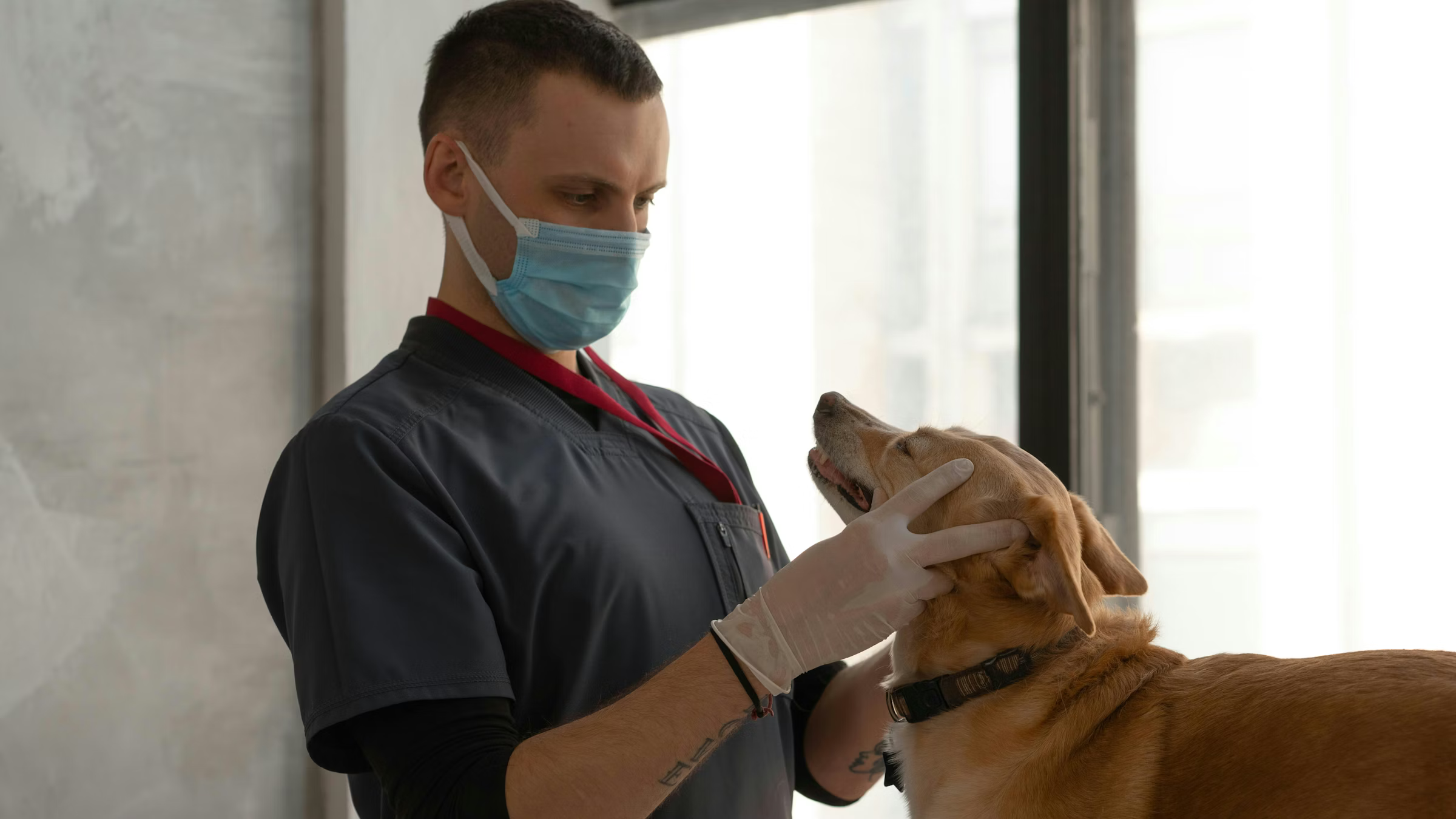 Top 10 Best Veterinary Clinics in Pune (2026): What Pet Parents Should Know